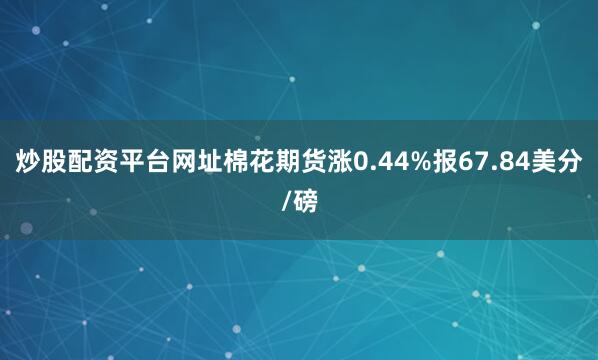炒股配资平台网址棉花期货涨0.44%报67.84美分/磅